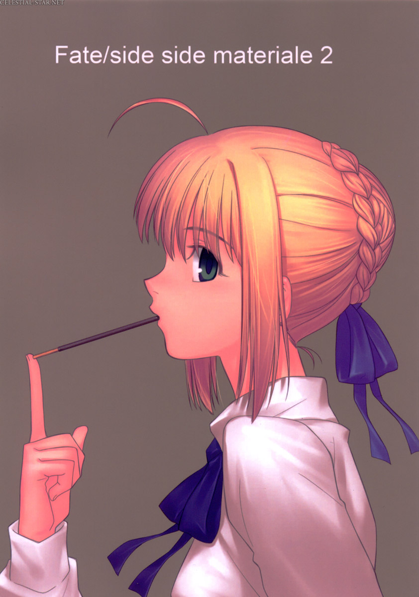 Fate/side materiale 2 image by Type-Moon